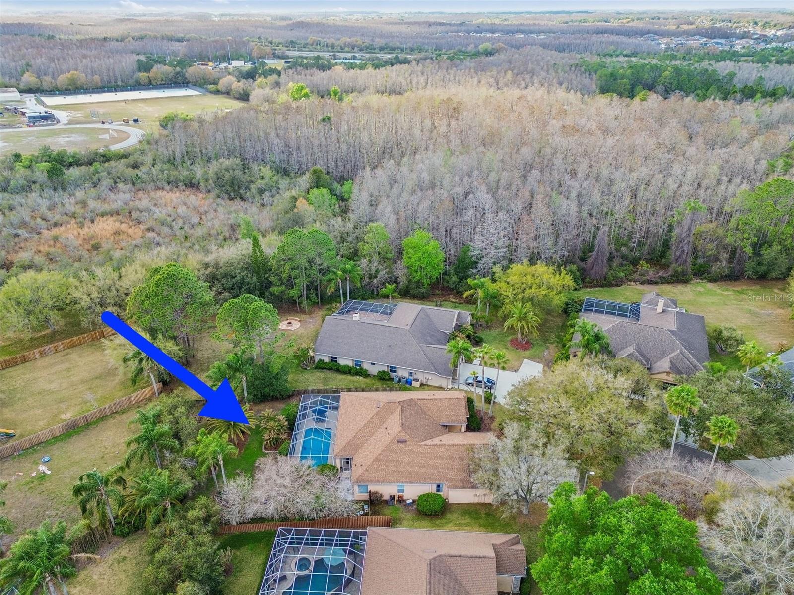 5506 CAMILLE CT, LUTZ, FL, 33558