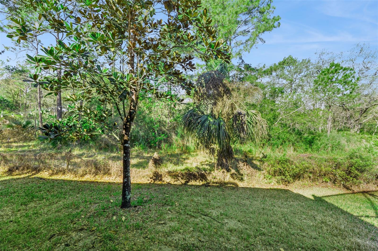 814 MIAMI SPRINGS DR, LONGWOOD, FL, 32779