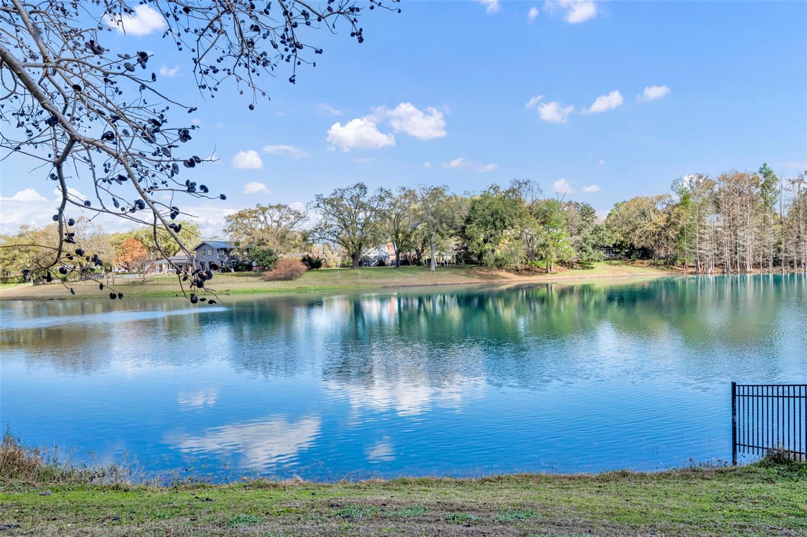 1081 LAKE WELDONA DR, ORLANDO, FL, 32806