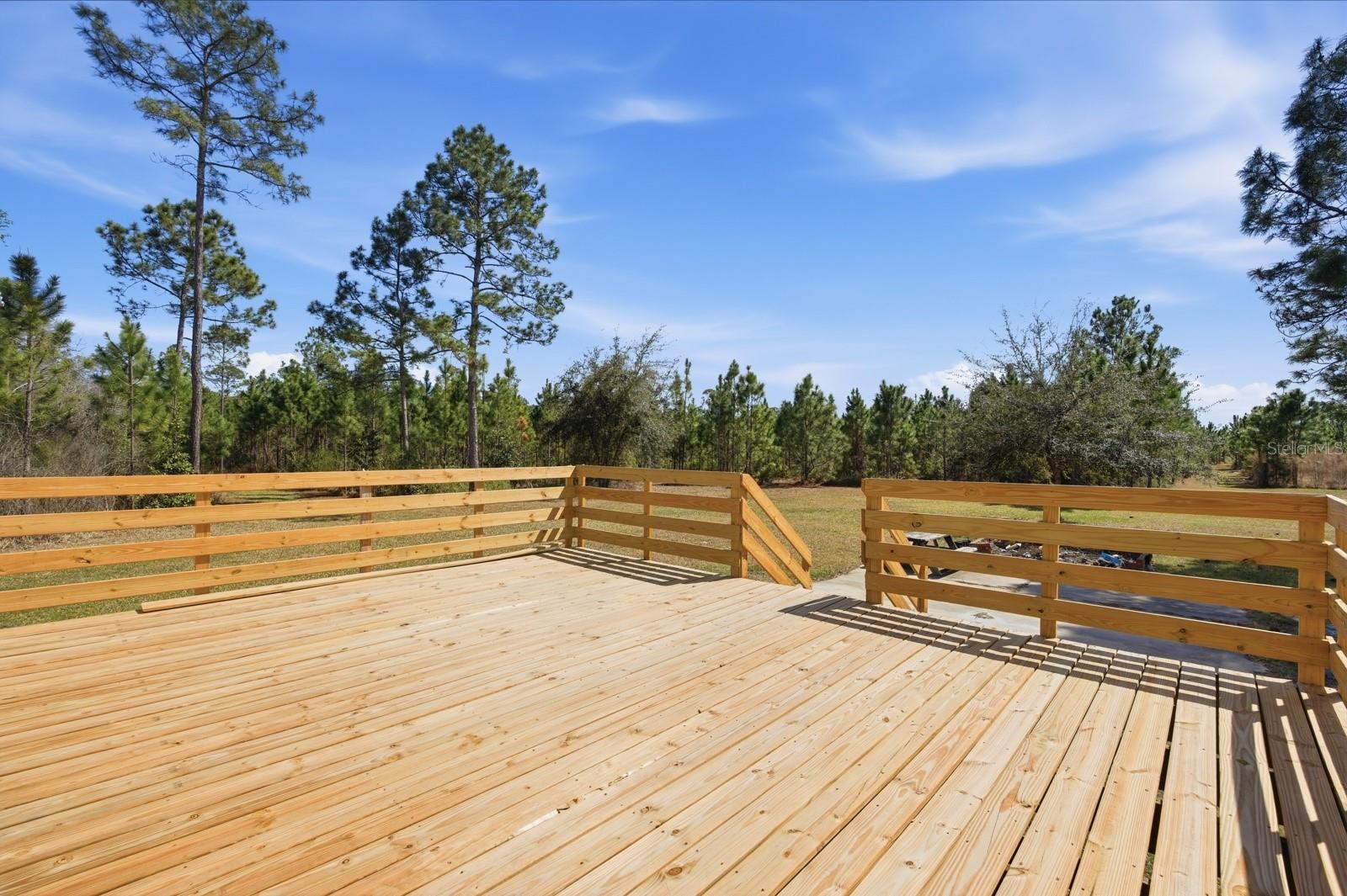 299 CAYENNE ST, INTERLACHEN, FL, 32148