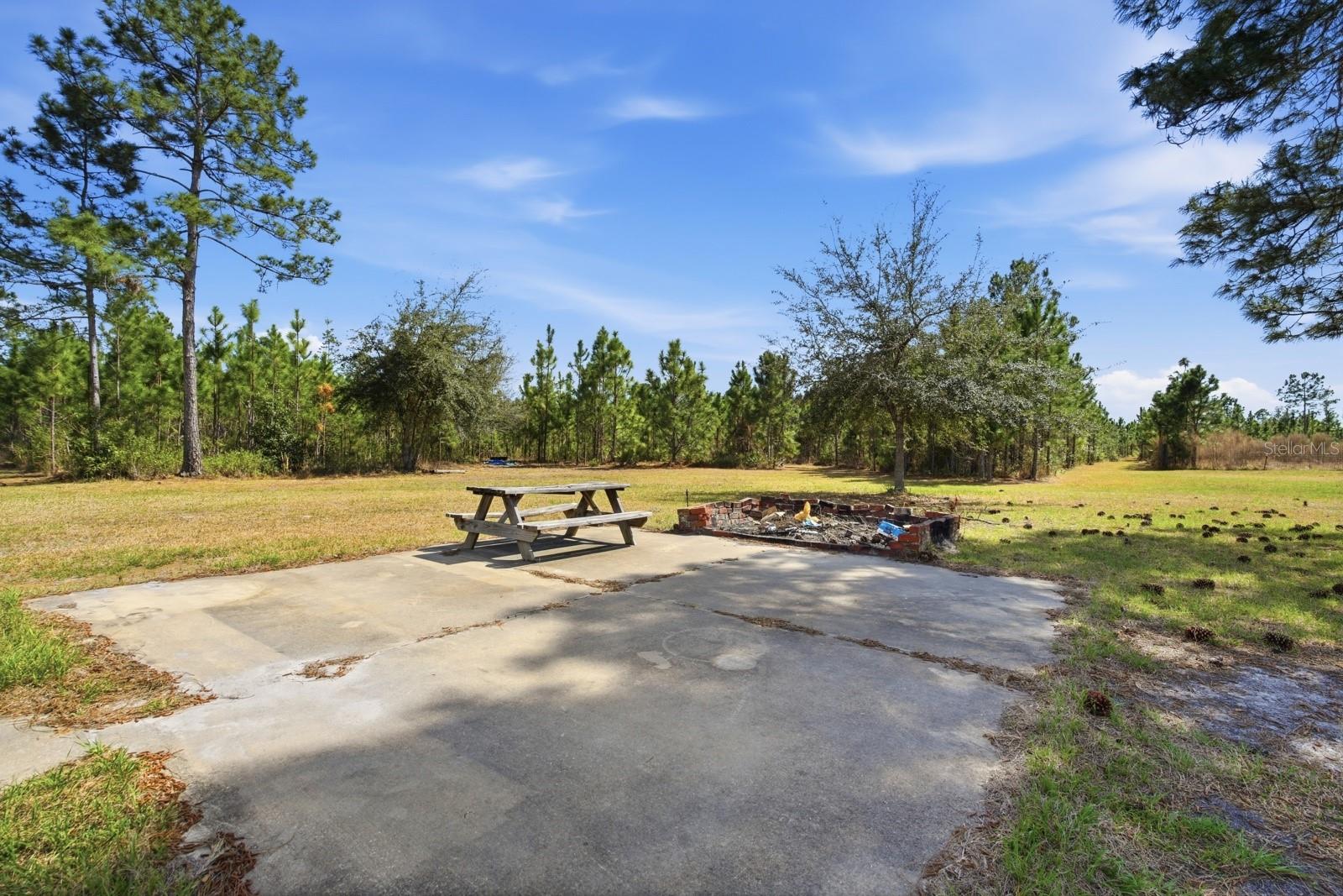 299 CAYENNE ST, INTERLACHEN, FL, 32148