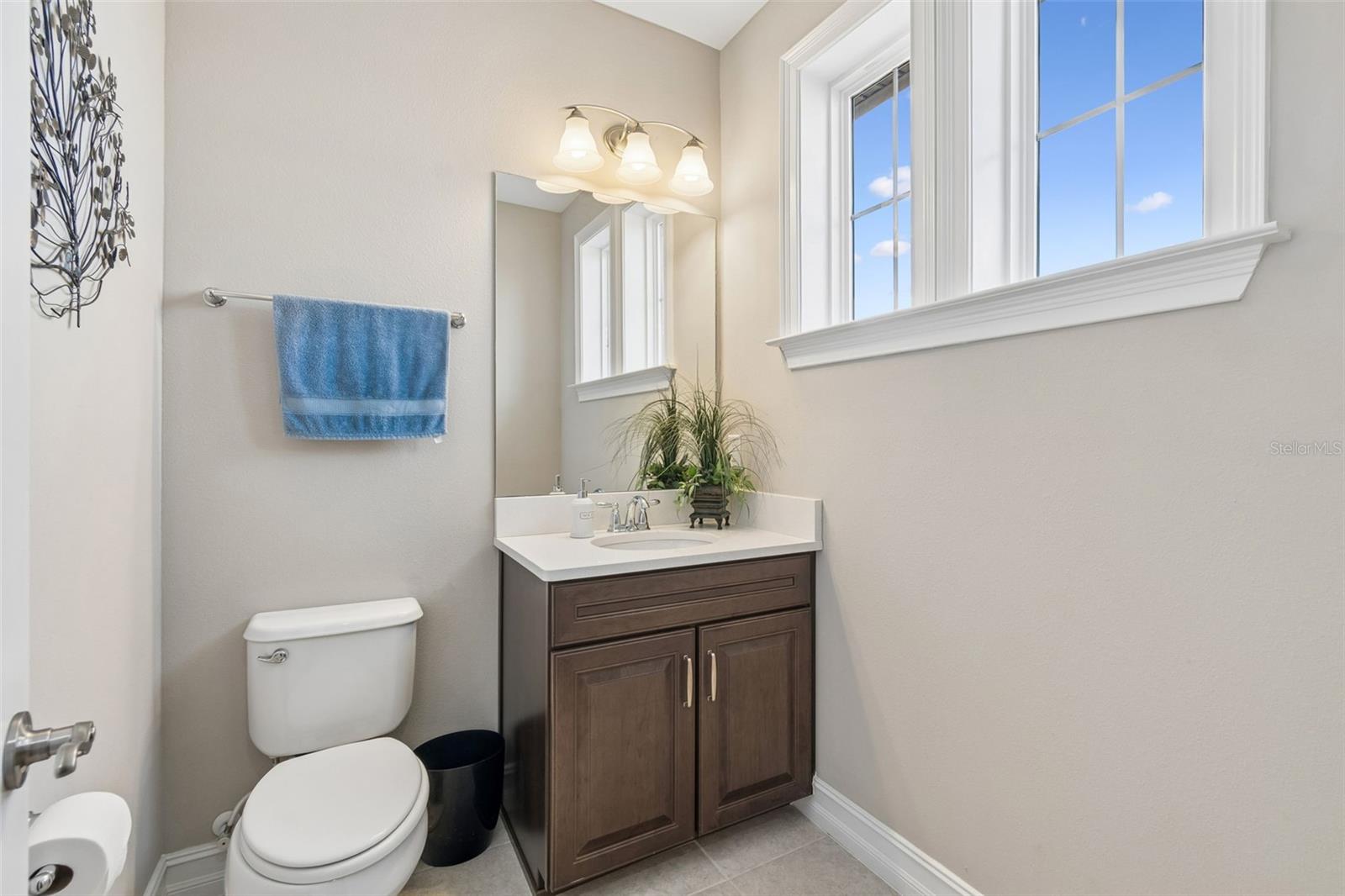 29190 PICANA LN, WESLEY CHAPEL, FL, 33543