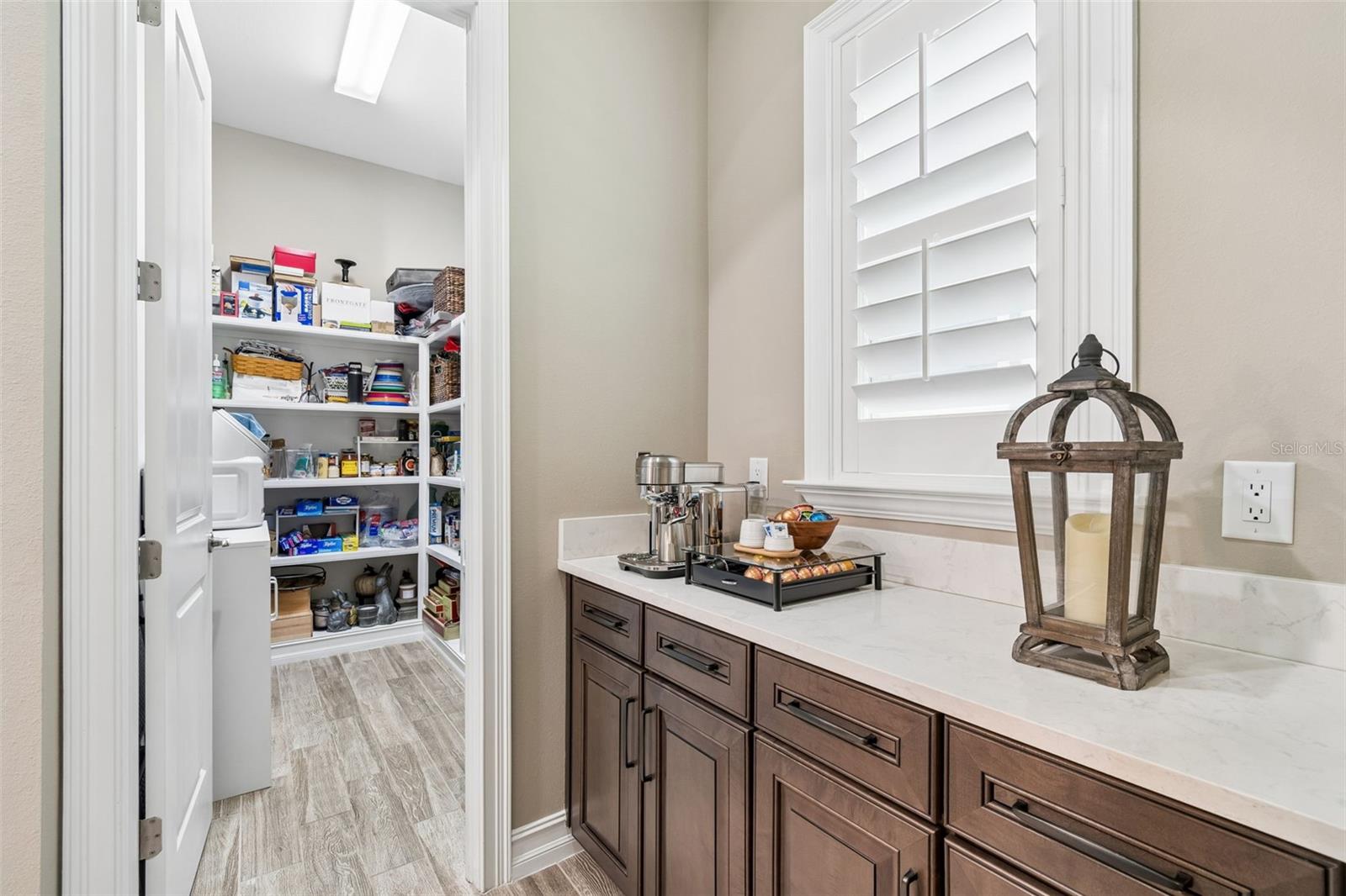 29190 PICANA LN, WESLEY CHAPEL, FL, 33543