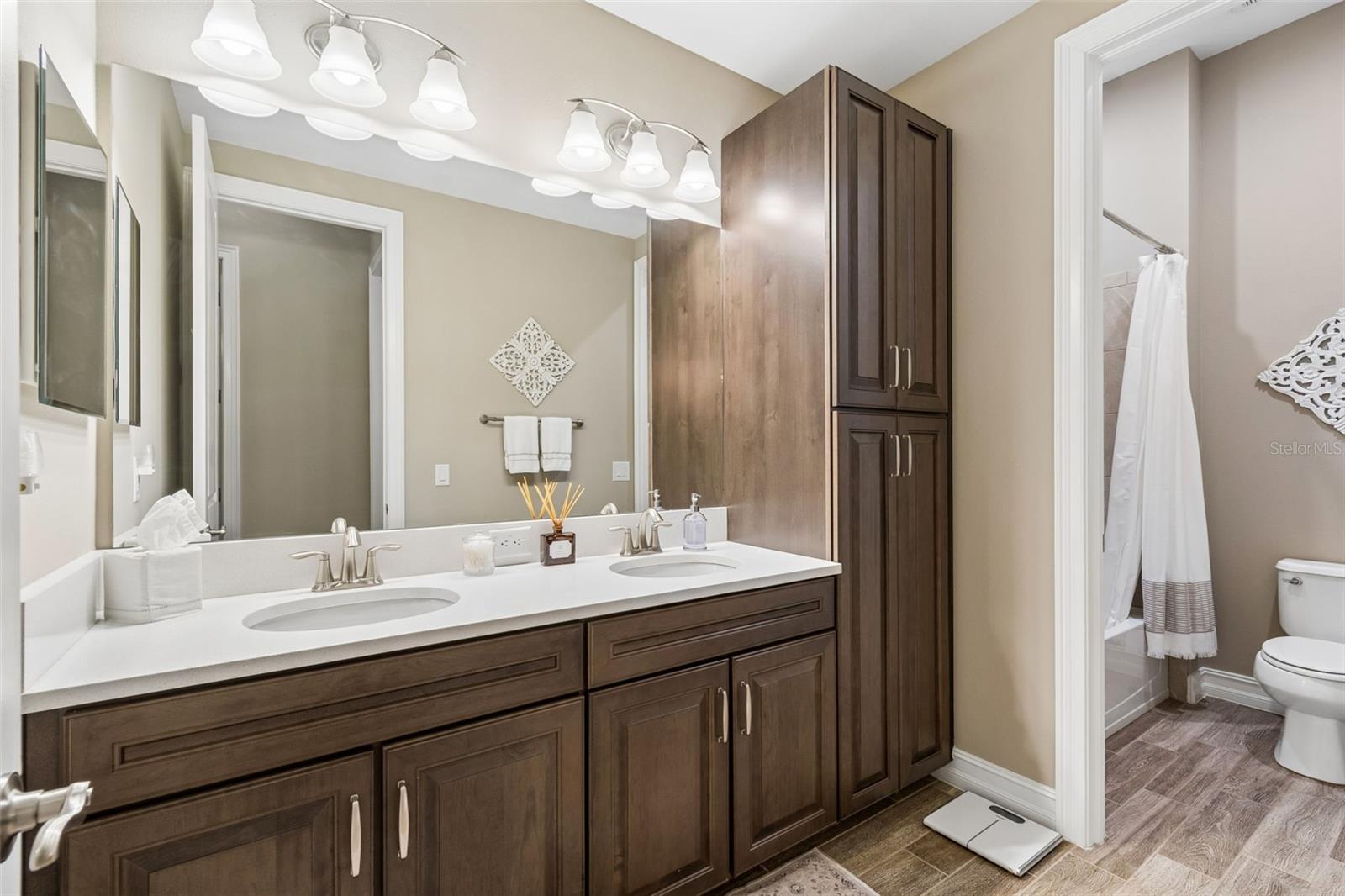 29190 PICANA LN, WESLEY CHAPEL, FL, 33543