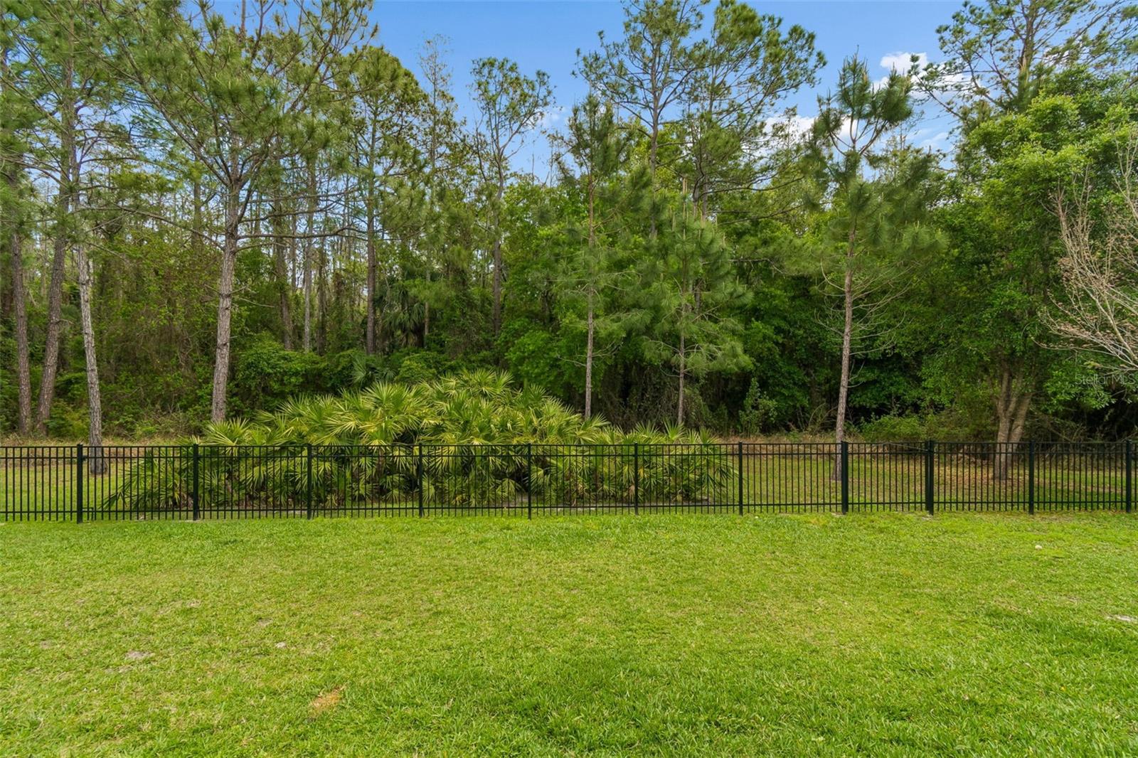 29190 PICANA LN, WESLEY CHAPEL, FL, 33543