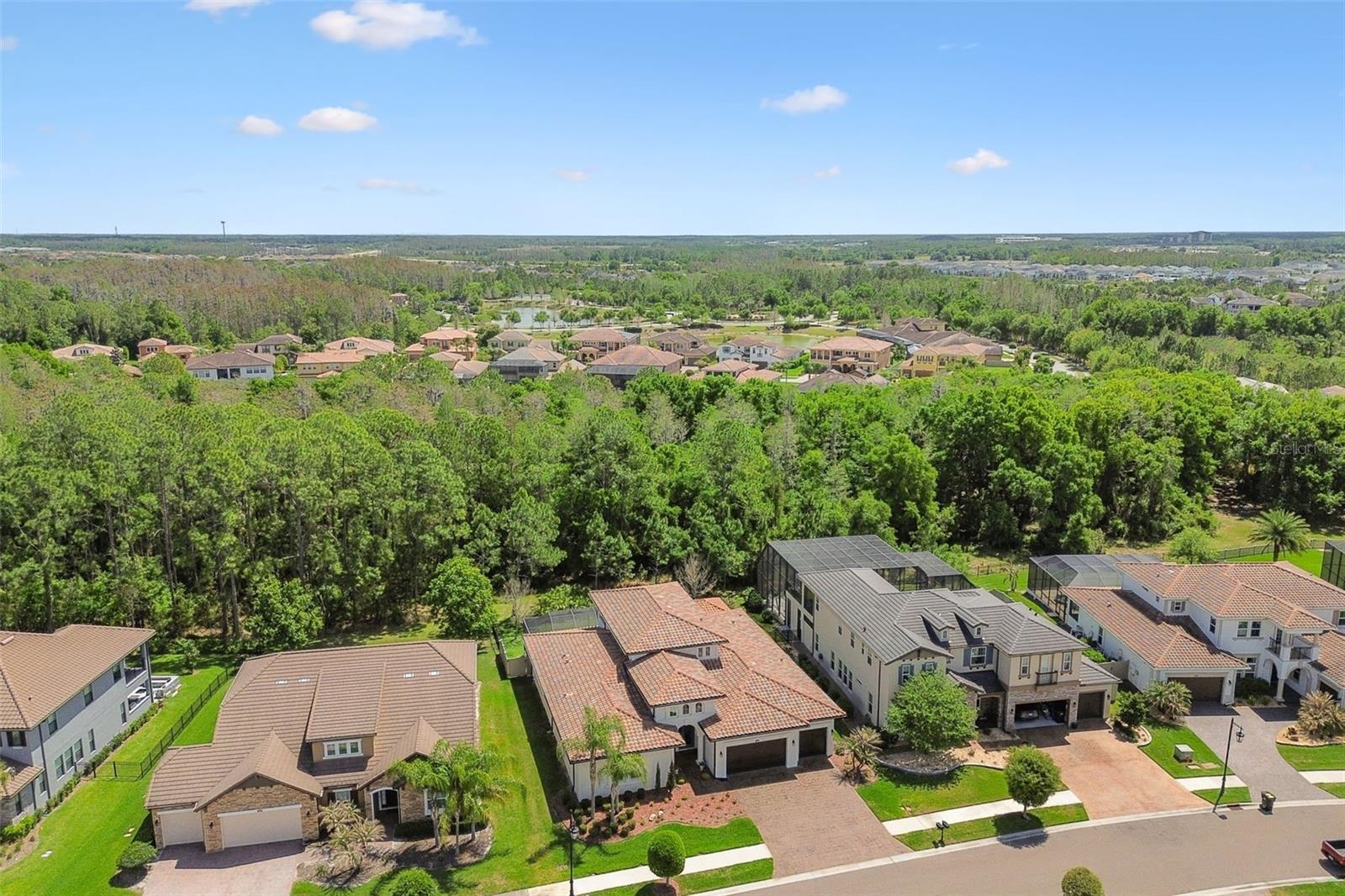 29190 PICANA LN, WESLEY CHAPEL, FL, 33543