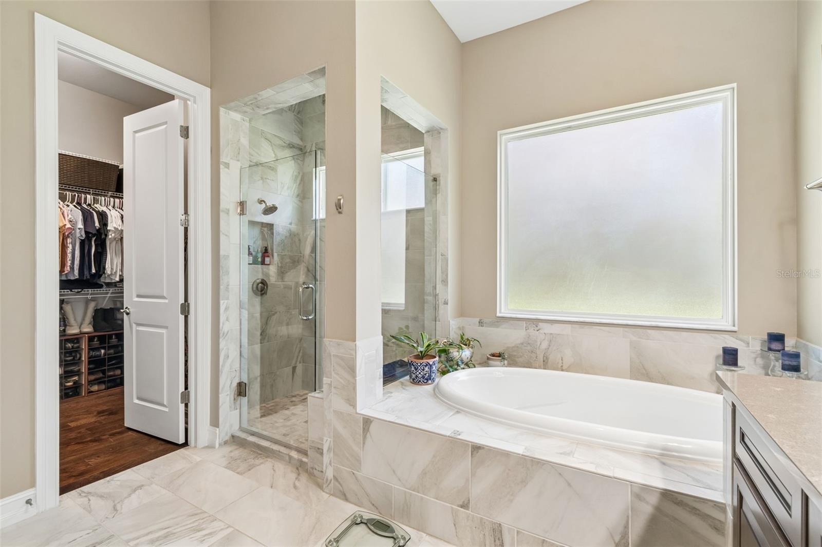 29190 PICANA LN, WESLEY CHAPEL, FL, 33543