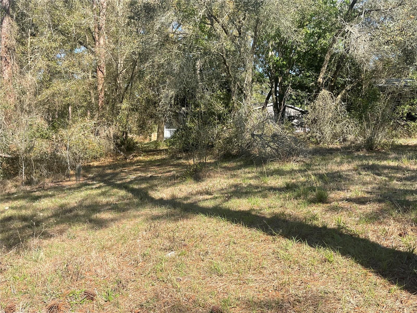31725 SPRUCE DR, EUSTIS, FL, 32736