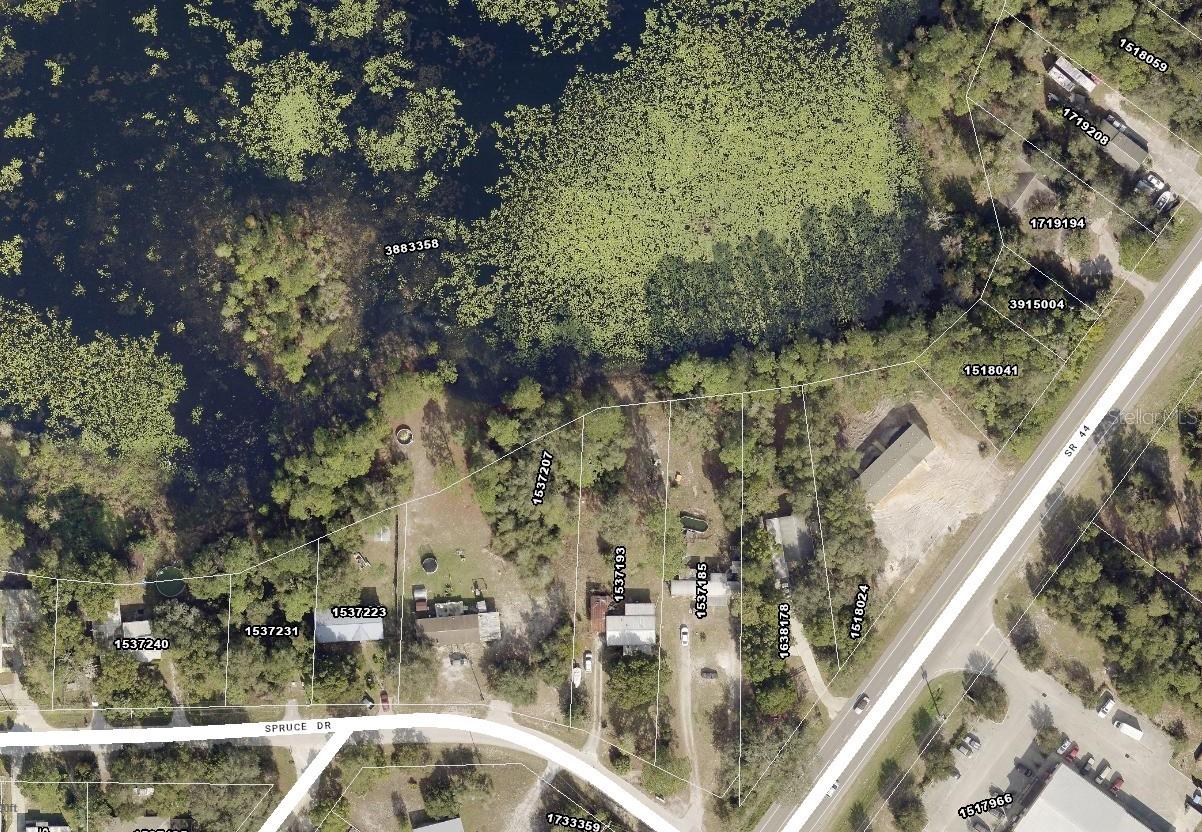 31725 SPRUCE DR, EUSTIS, FL, 32736