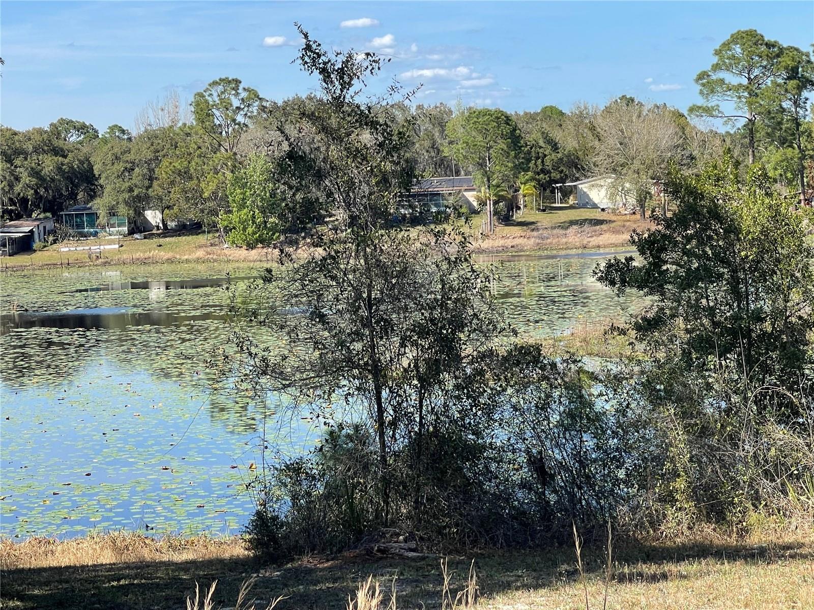 31725 SPRUCE DR, EUSTIS, FL, 32736