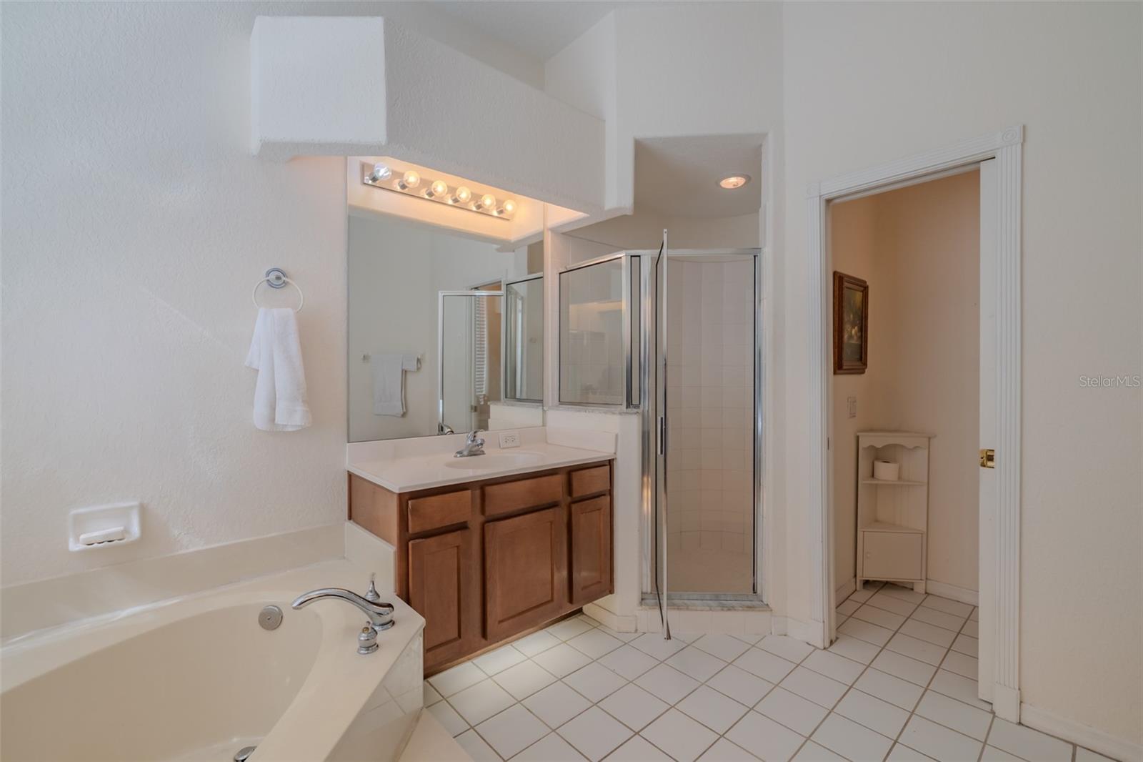 3732 HOLLOW WOOD DR, VALRICO, FL, 33596