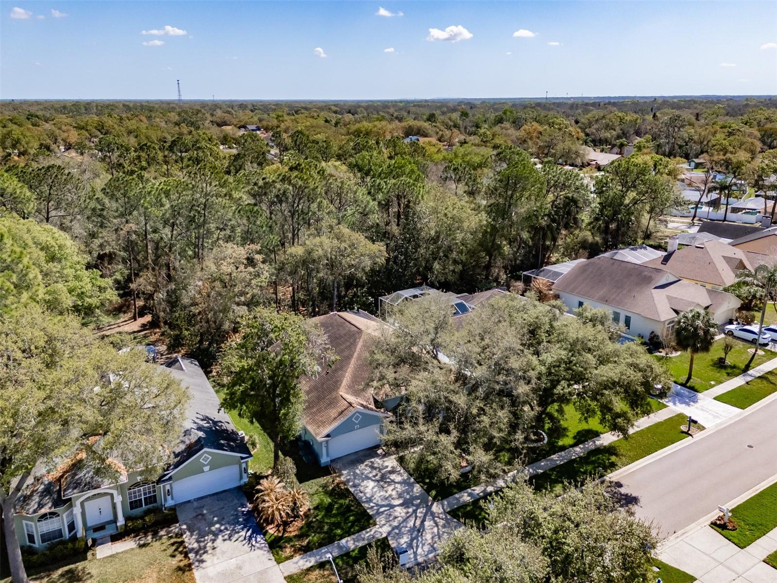 3732 HOLLOW WOOD DR, VALRICO, FL, 33596