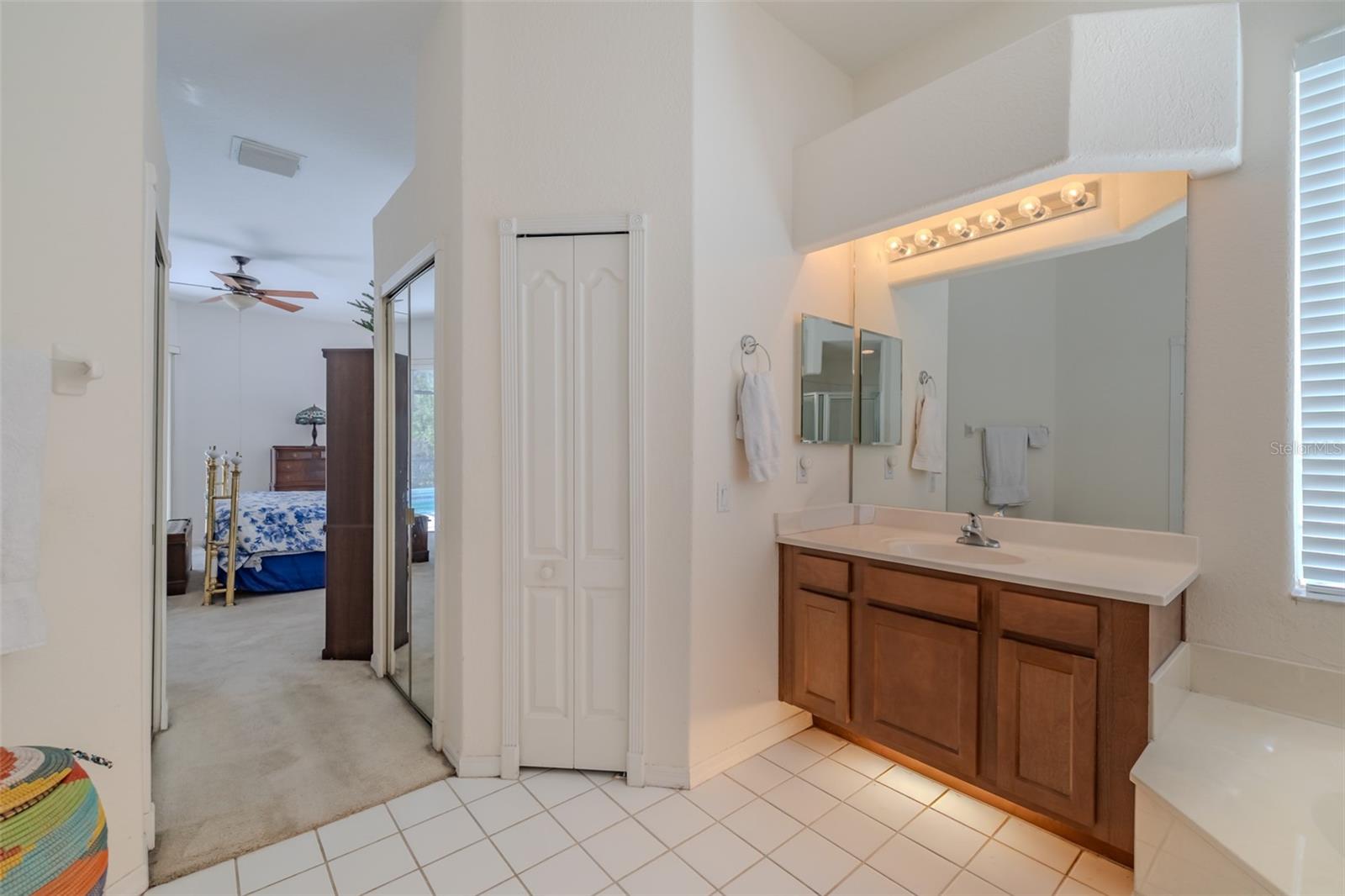 3732 HOLLOW WOOD DR, VALRICO, FL, 33596