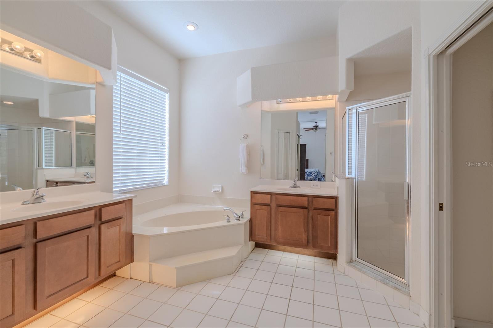 3732 HOLLOW WOOD DR, VALRICO, FL, 33596