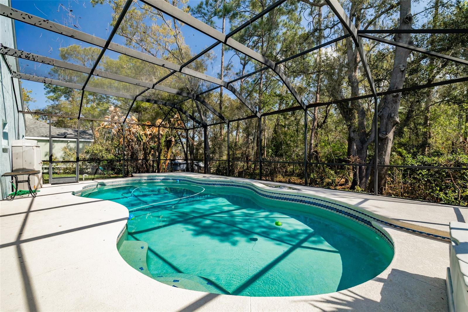 3732 HOLLOW WOOD DR, VALRICO, FL, 33596