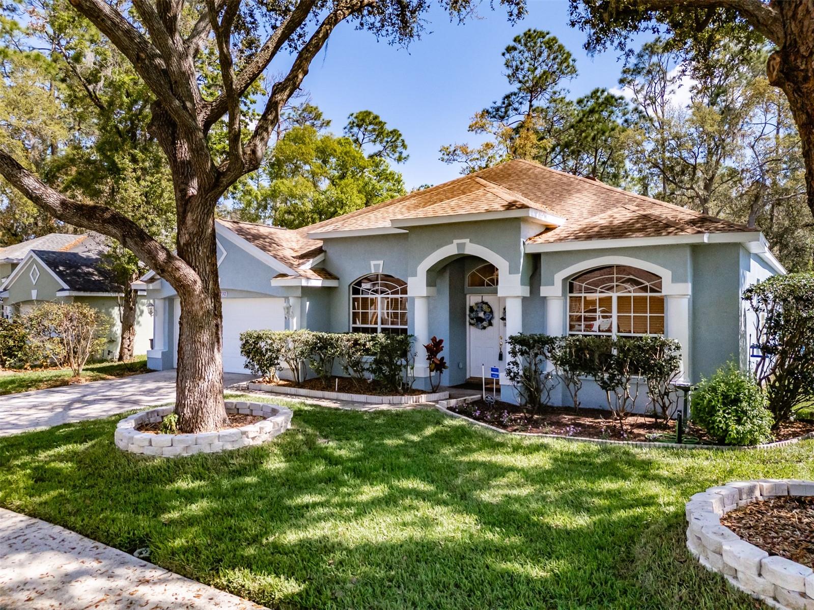 3732 HOLLOW WOOD DR, VALRICO, FL, 33596