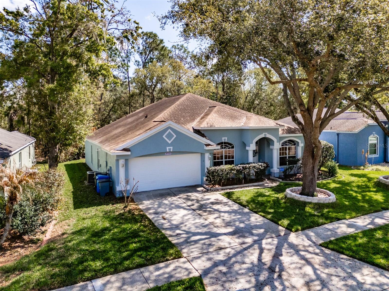 3732 HOLLOW WOOD DR, VALRICO, FL, 33596