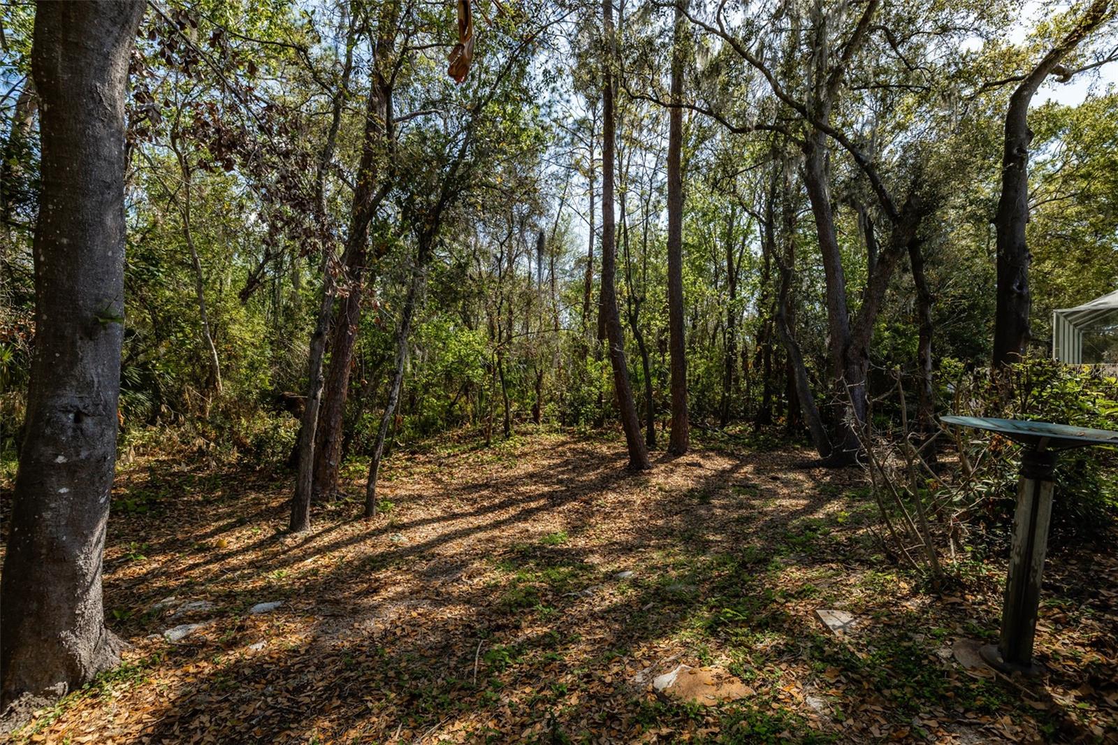 3732 HOLLOW WOOD DR, VALRICO, FL, 33596