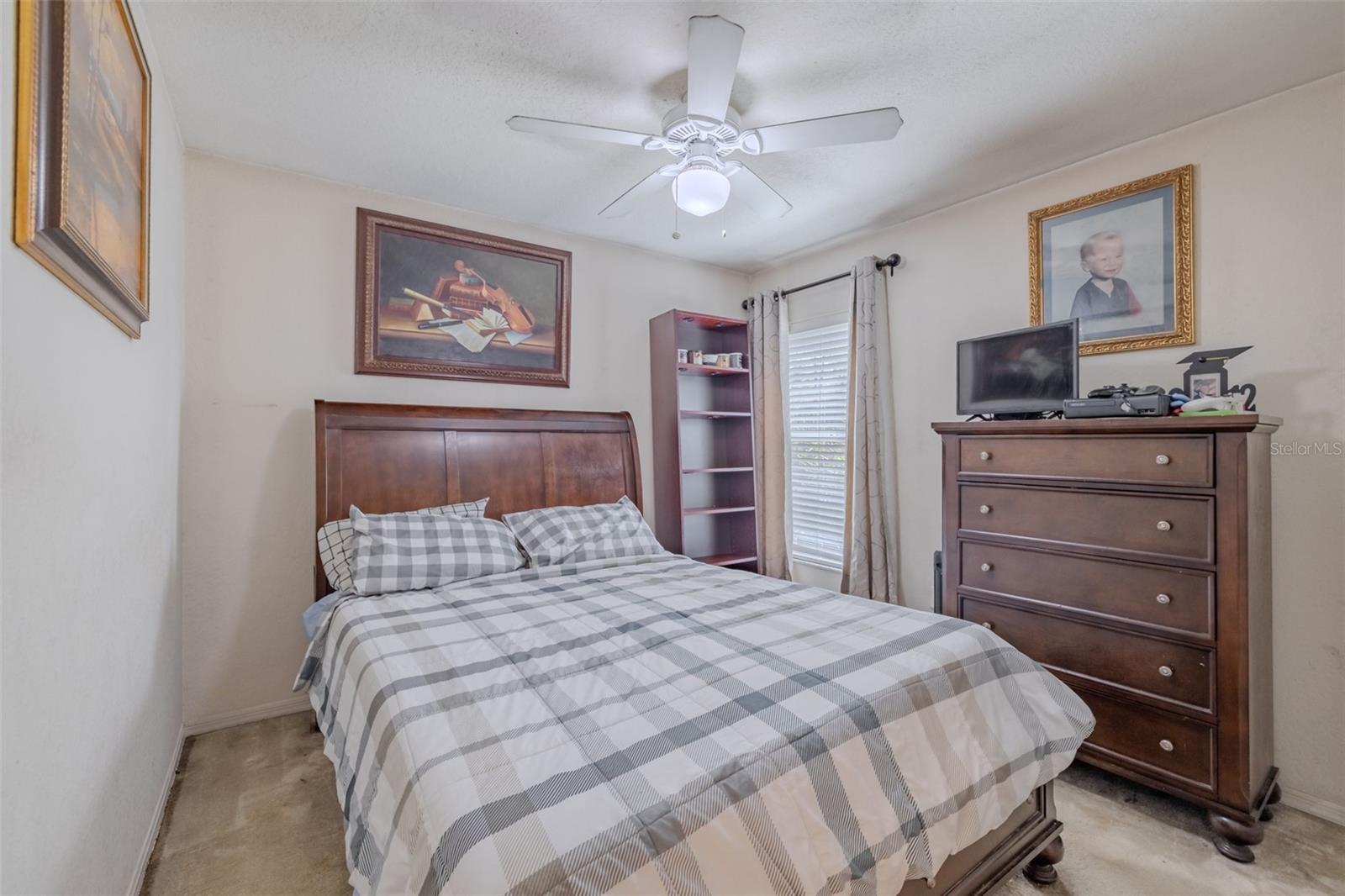 3732 HOLLOW WOOD DR, VALRICO, FL, 33596