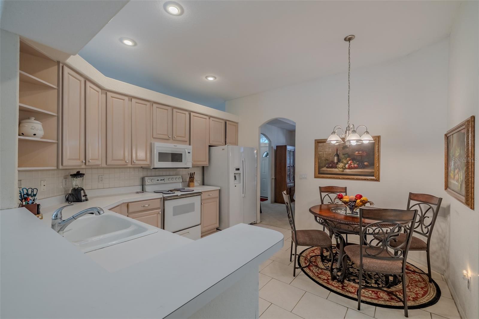 3732 HOLLOW WOOD DR, VALRICO, FL, 33596