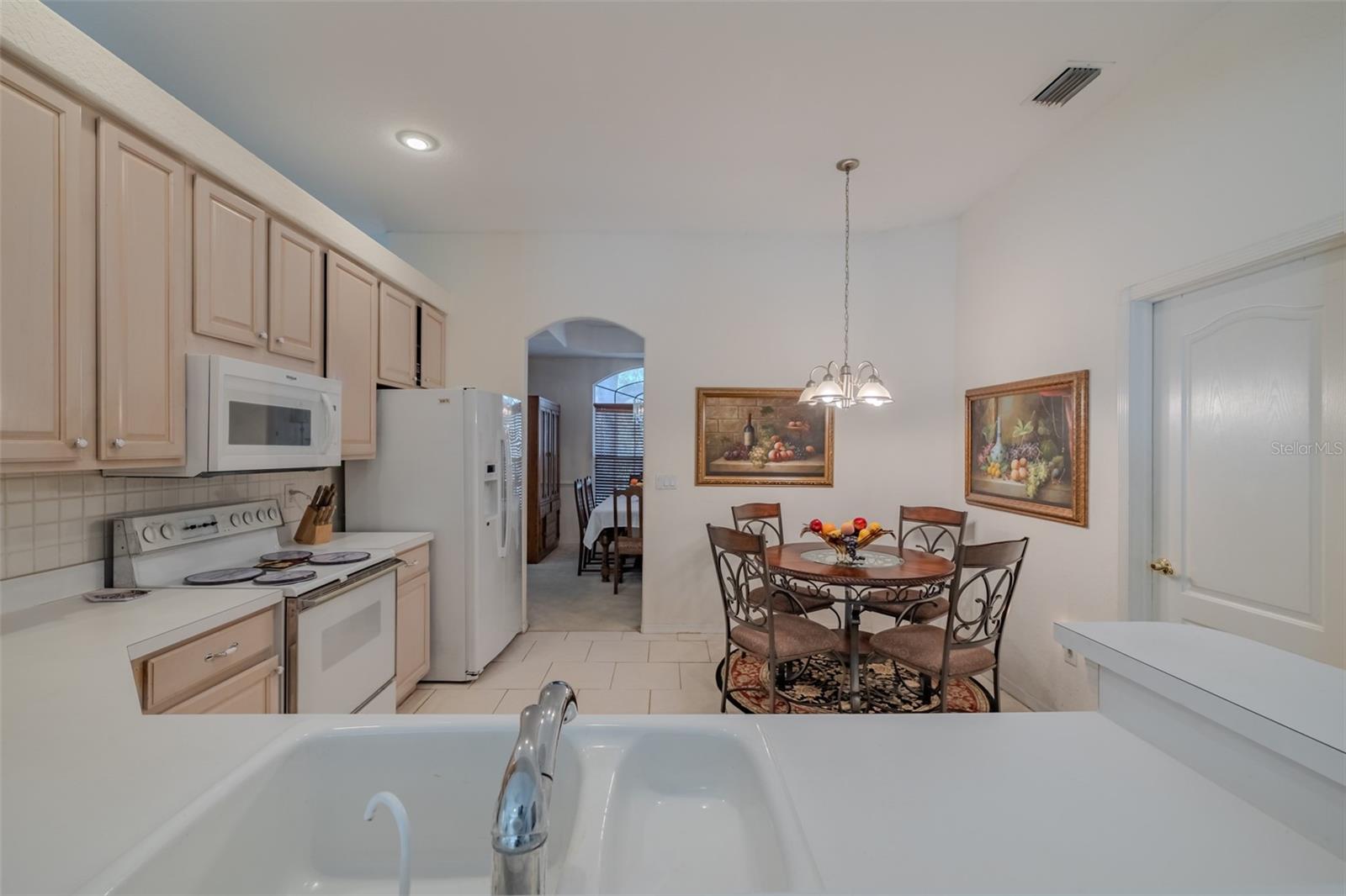 3732 HOLLOW WOOD DR, VALRICO, FL, 33596