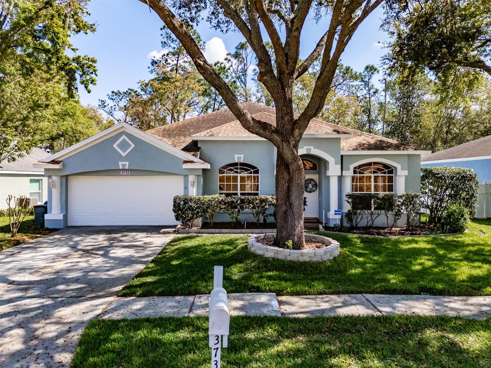 3732 HOLLOW WOOD DR, VALRICO, FL, 33596