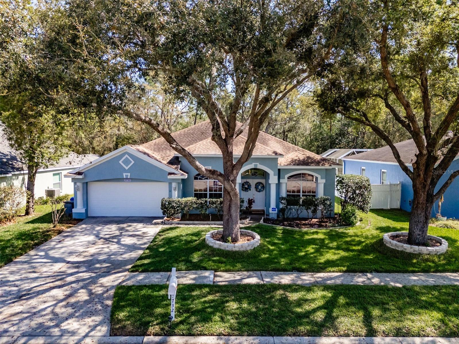 3732 HOLLOW WOOD DR, VALRICO, FL, 33596