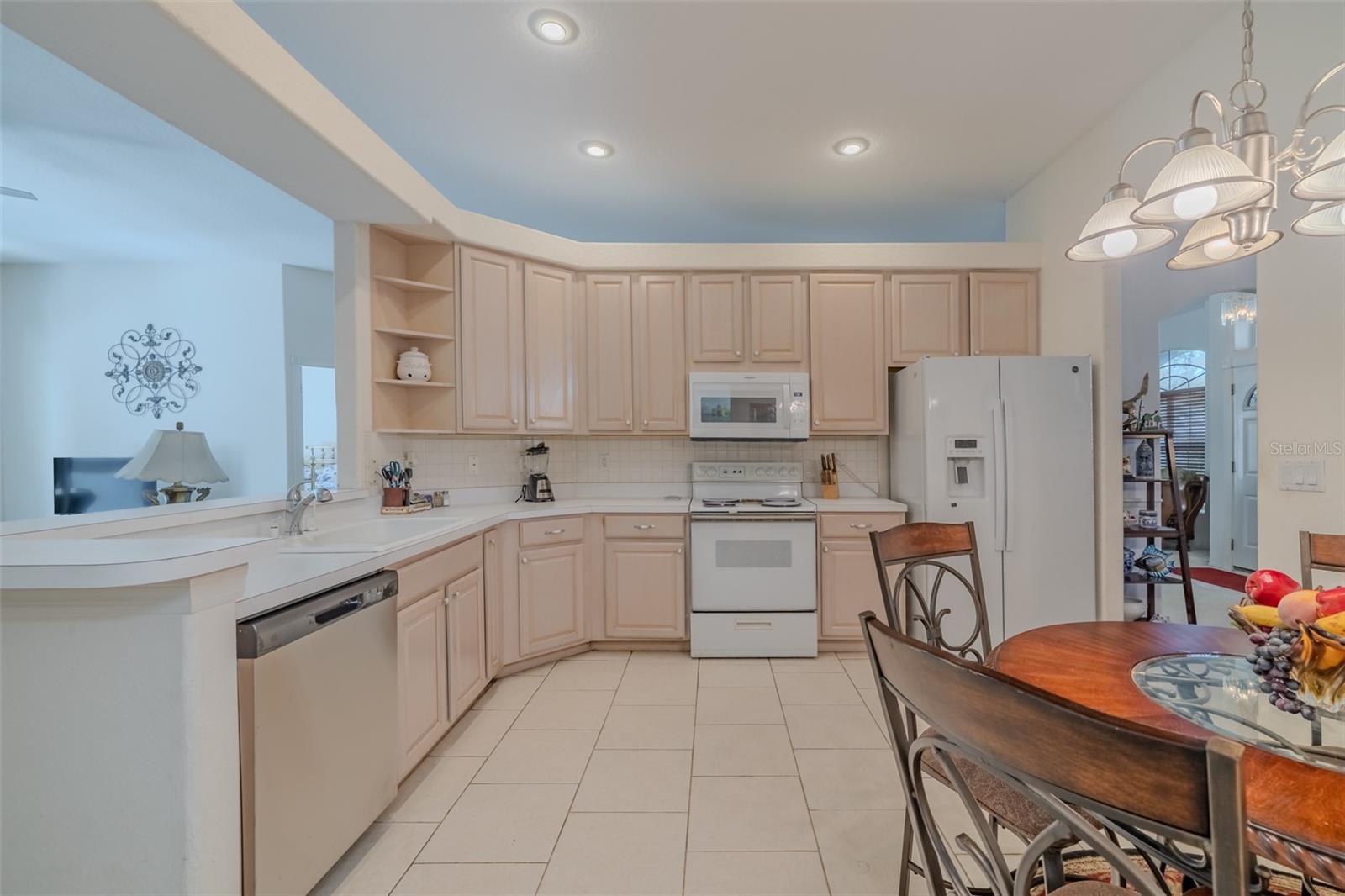 3732 HOLLOW WOOD DR, VALRICO, FL, 33596