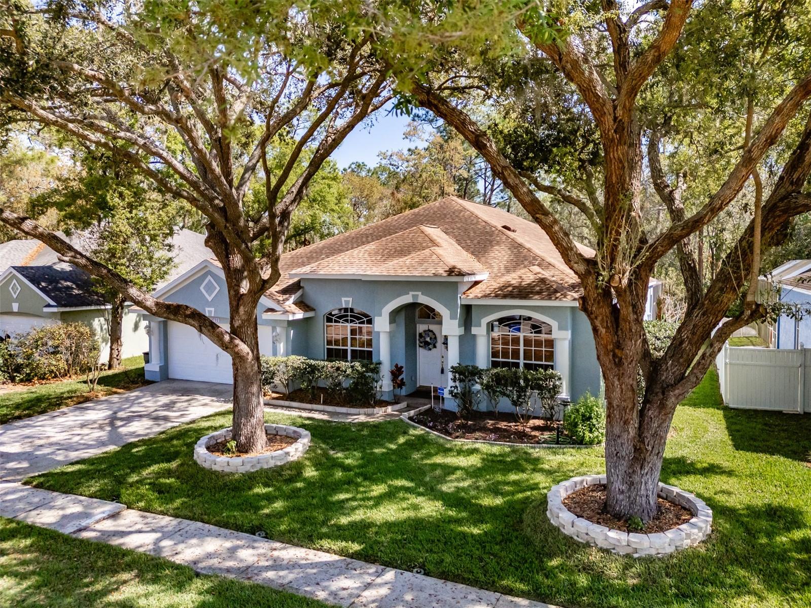 3732 HOLLOW WOOD DR, VALRICO, FL, 33596
