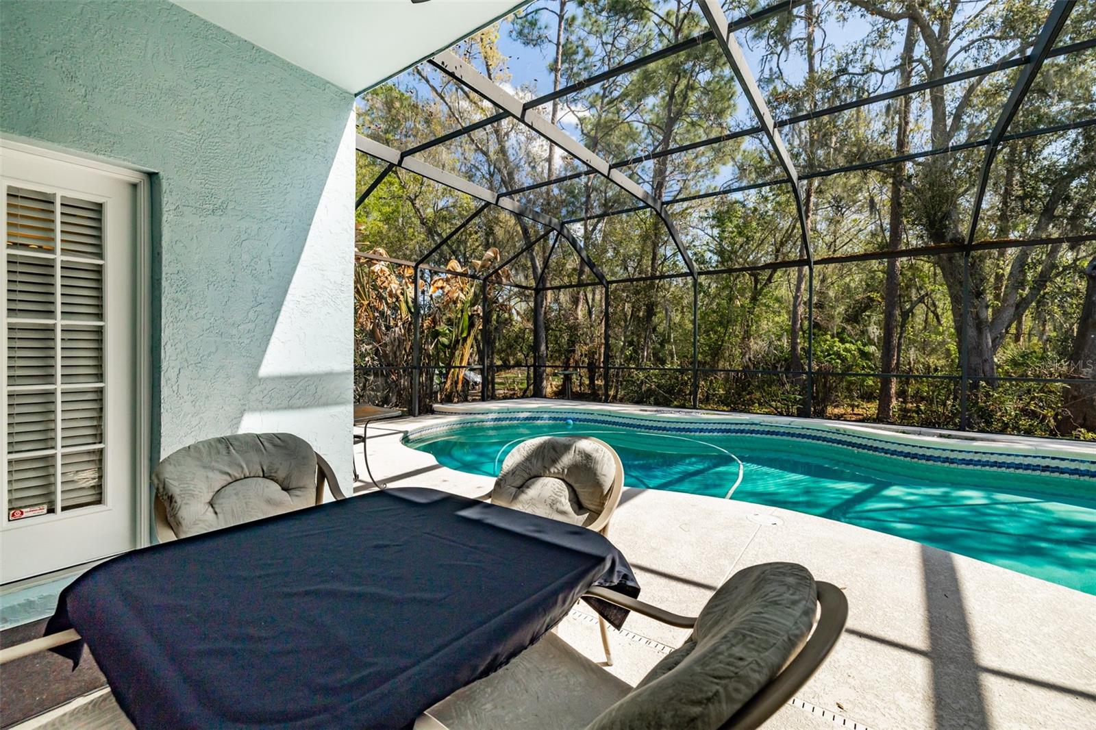 3732 HOLLOW WOOD DR, VALRICO, FL, 33596