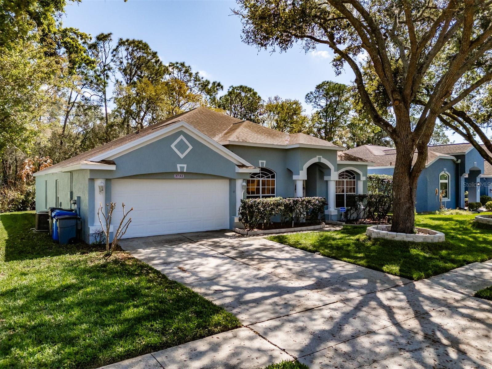 3732 HOLLOW WOOD DR, VALRICO, FL, 33596