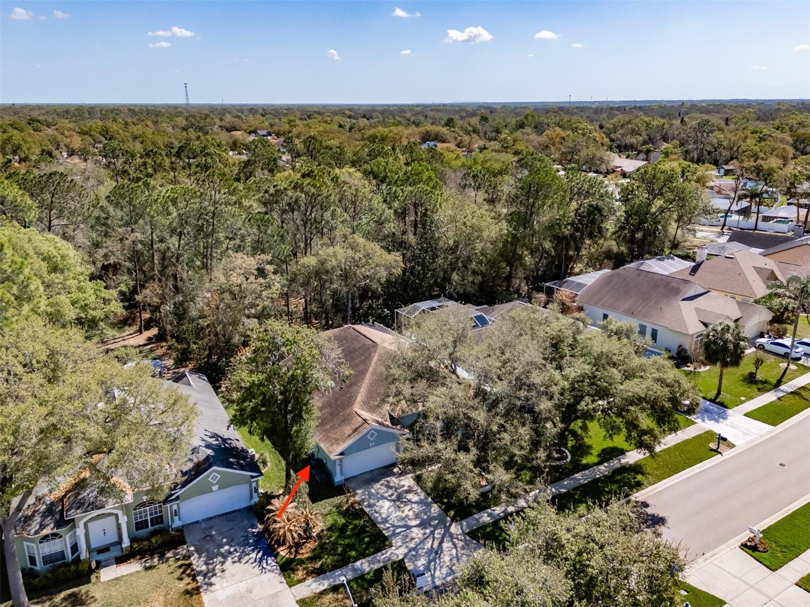3732 HOLLOW WOOD DR, VALRICO, FL, 33596