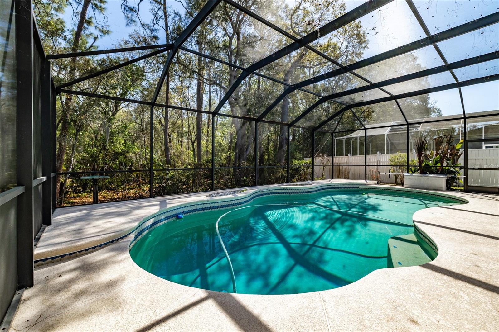 3732 HOLLOW WOOD DR, VALRICO, FL, 33596