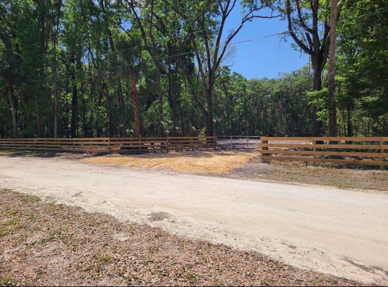 164 NE 293RD AVE, OLD TOWN, FL, 32680