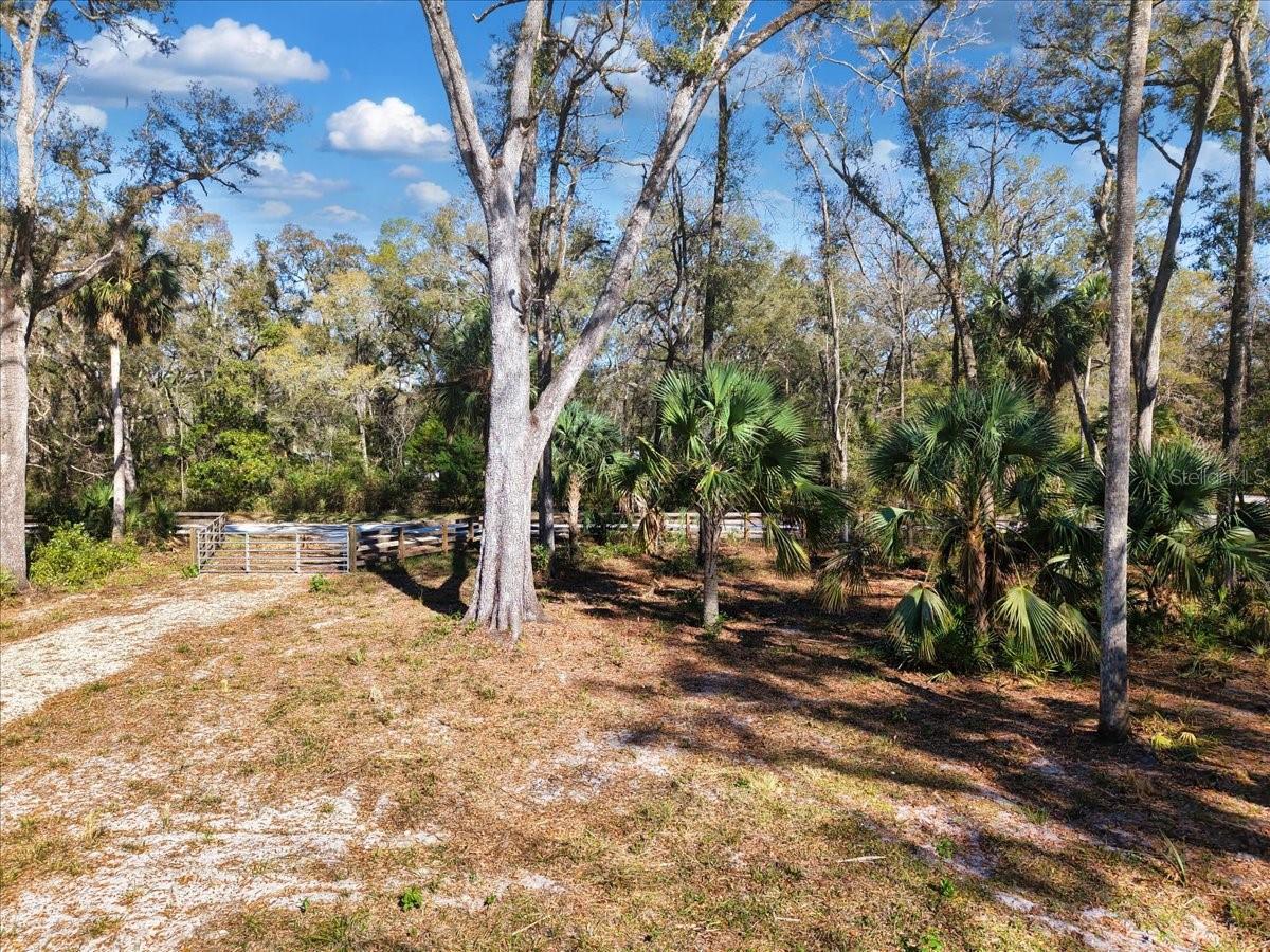 164 NE 293RD AVE, OLD TOWN, FL, 32680