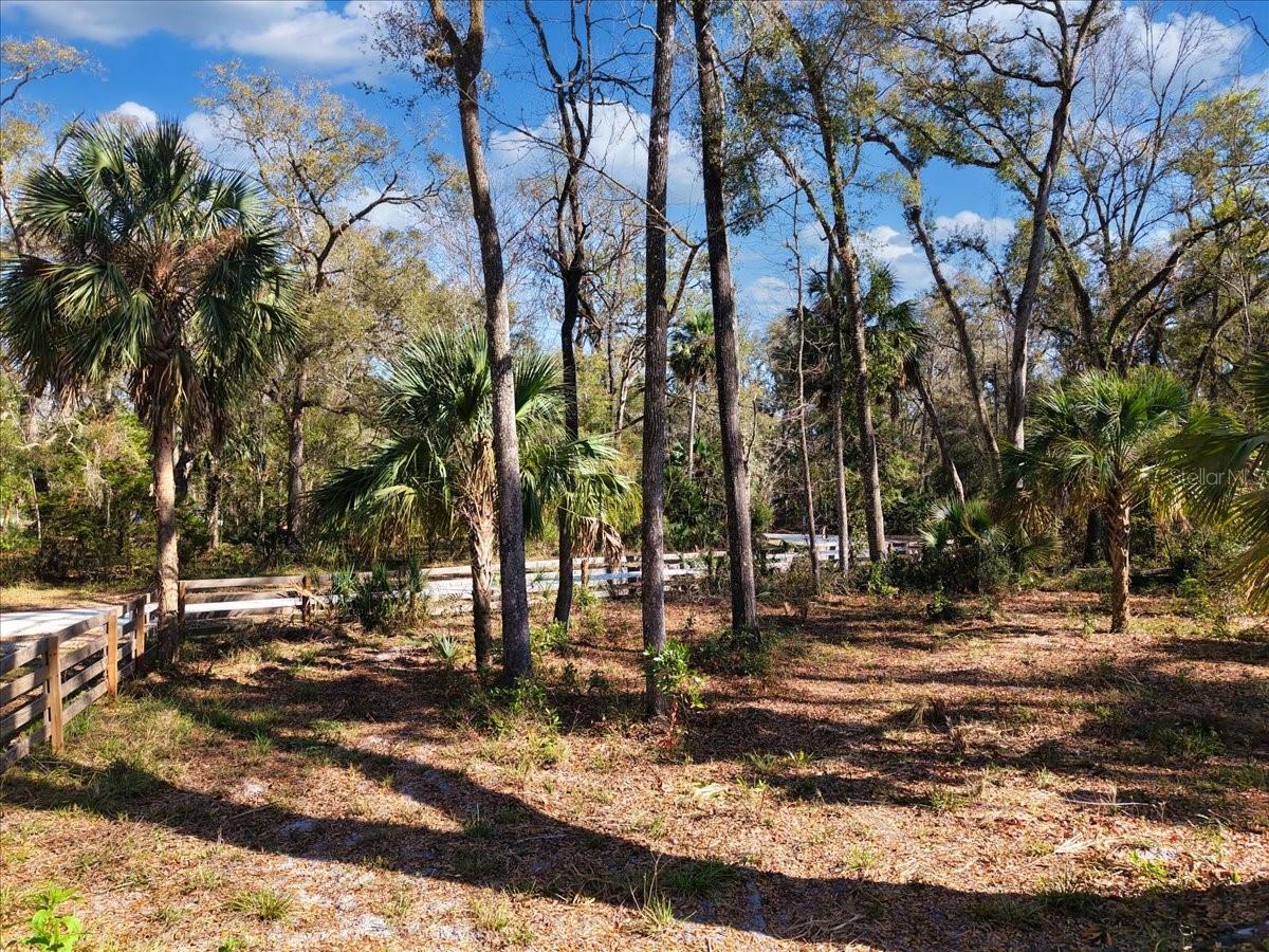 164 NE 293RD AVE, OLD TOWN, FL, 32680