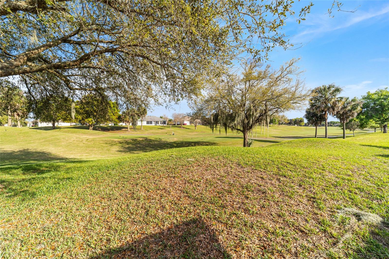 13265 SE 91ST COURT RD, SUMMERFIELD, FL, 34491