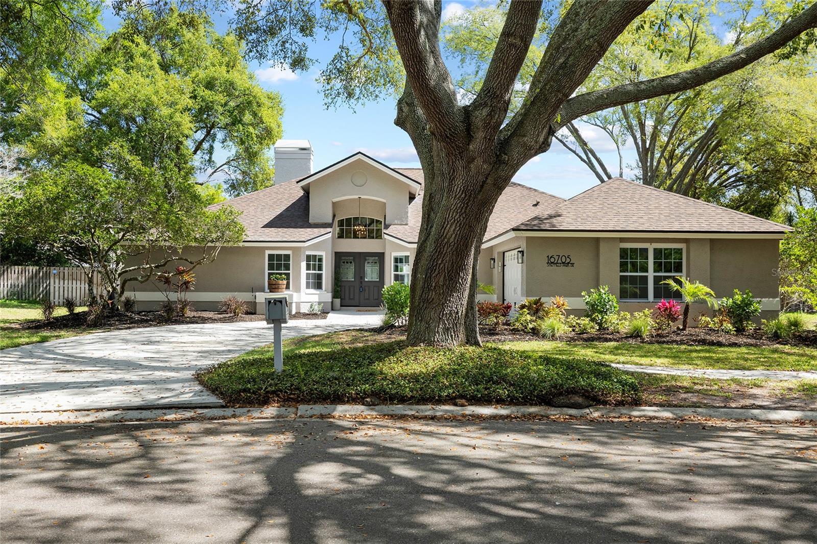 16705 SHEFFIELD PARK DR, LUTZ, FL, 33549