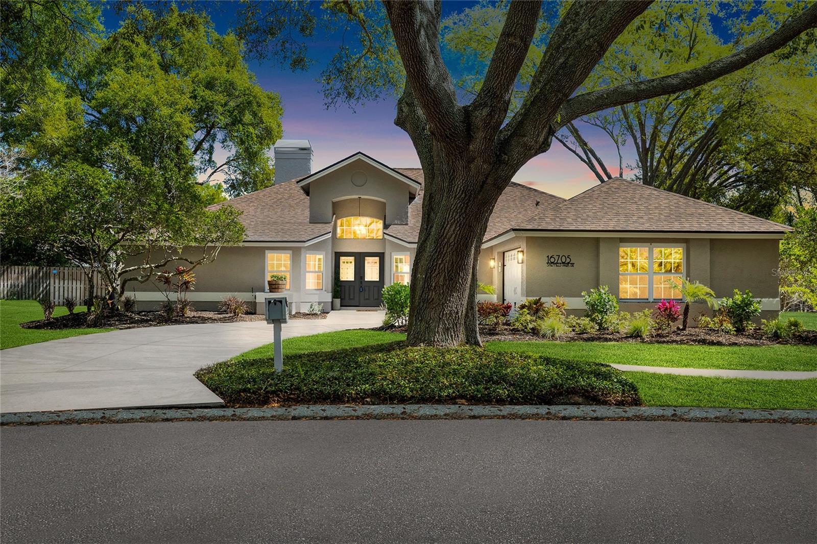 16705 SHEFFIELD PARK DR, LUTZ, FL, 33549