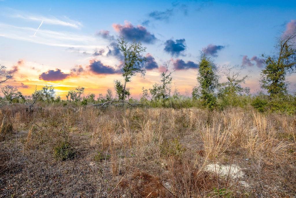 TBD WALKER PL, LIVE OAK, FL, 32060