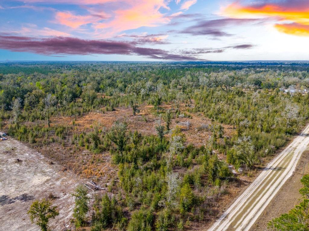 TBD WALKER PL, LIVE OAK, FL, 32060