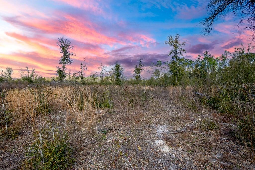 TBD WALKER PL, LIVE OAK, FL, 32060