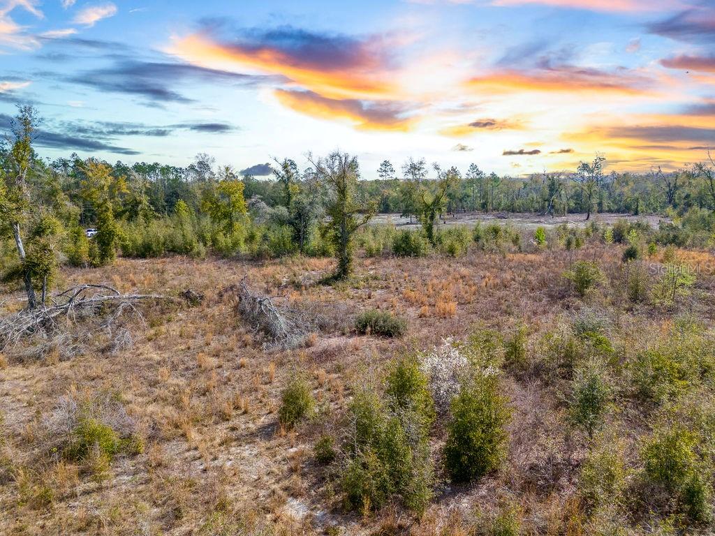 TBD WALKER PL, LIVE OAK, FL, 32060