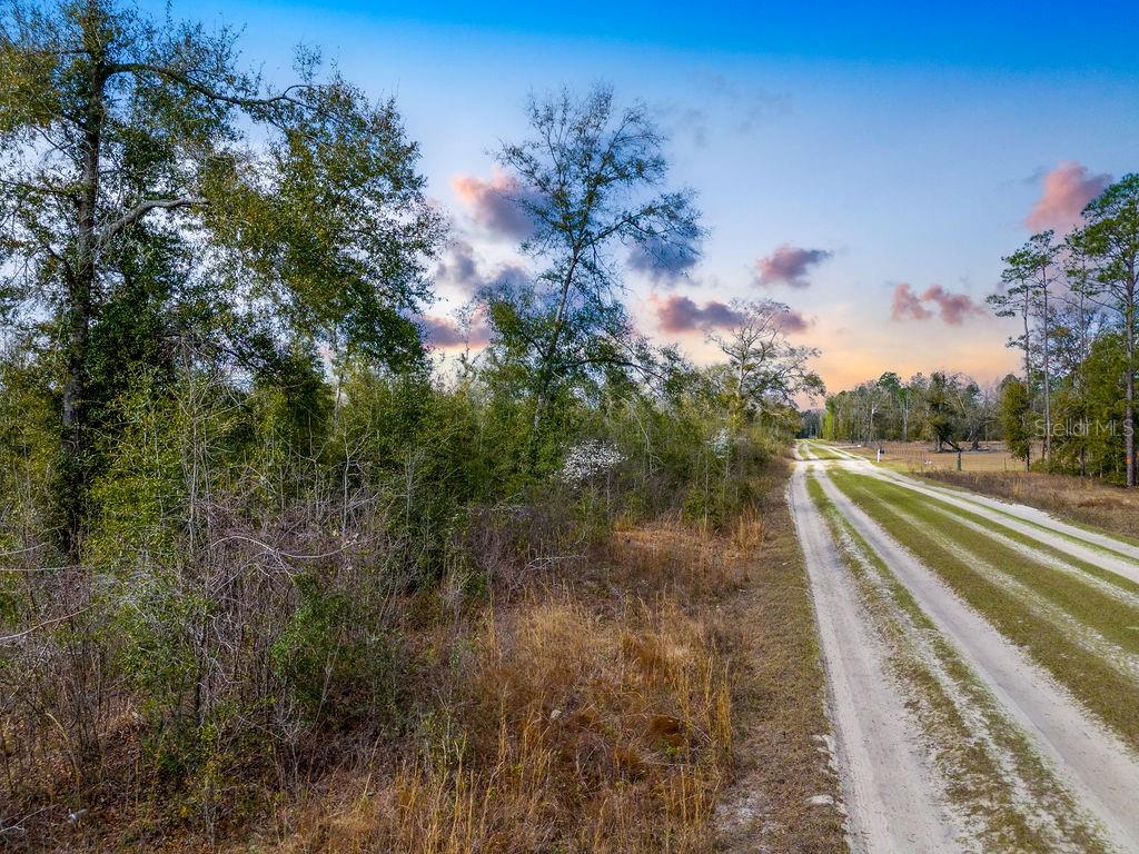 TBD WALKER PL, LIVE OAK, FL, 32060