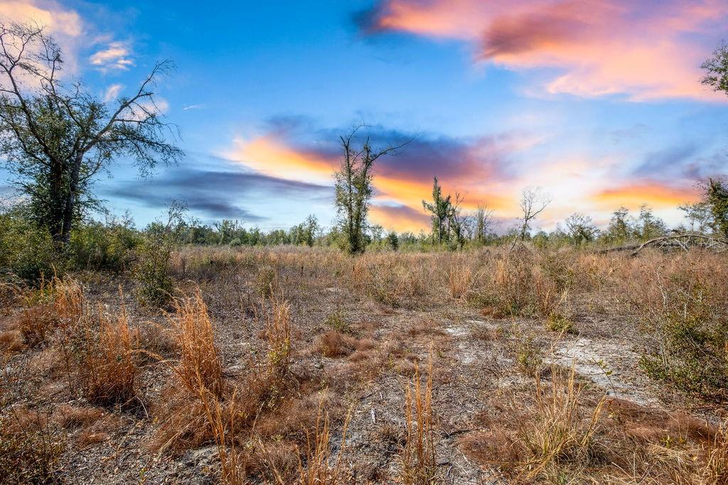 TBD WALKER PL, LIVE OAK, FL, 32060