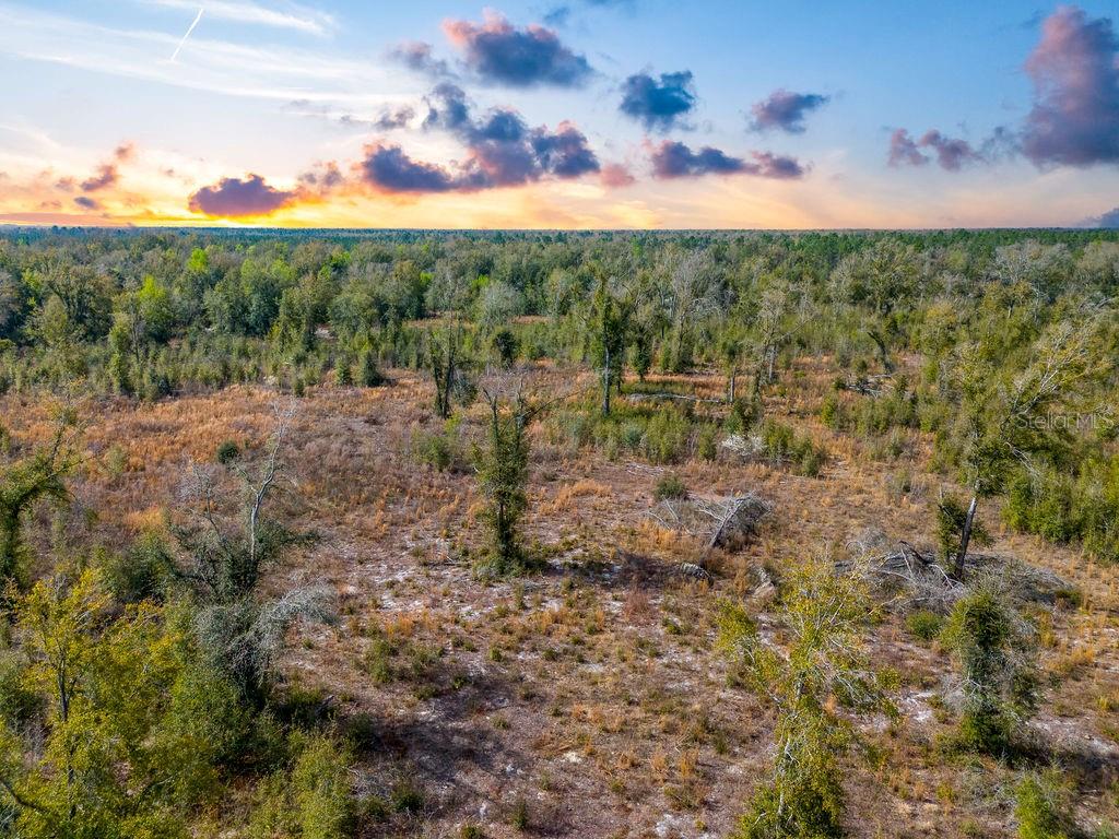 TBD WALKER PL, LIVE OAK, FL, 32060