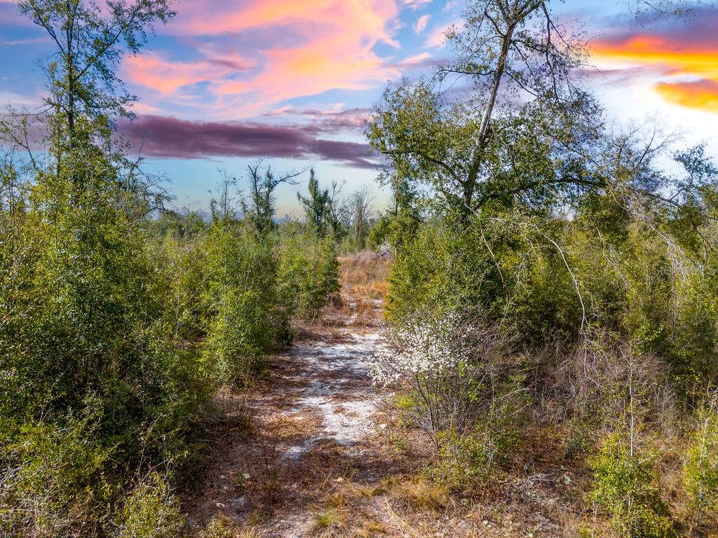 TBD WALKER PL, LIVE OAK, FL, 32060