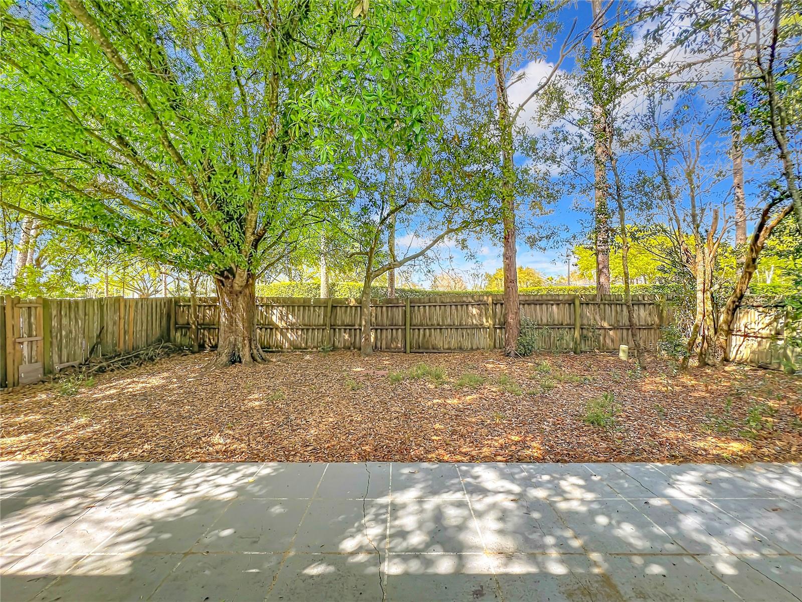 14504 LYCASTLE CIR, ORLANDO, FL, 32826