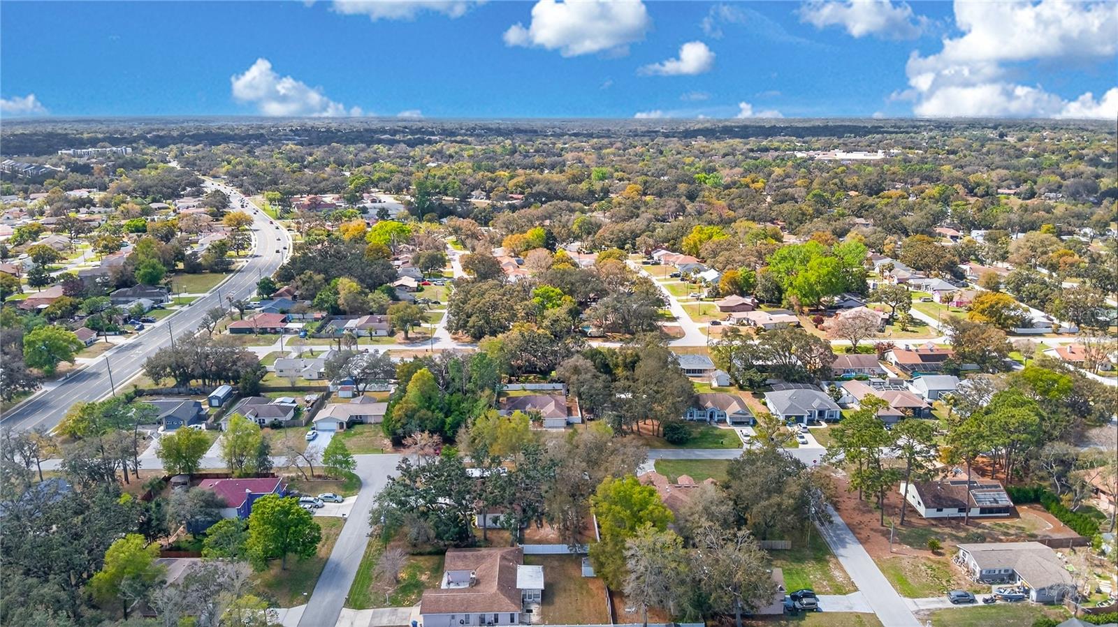 1429 LAREDO AVE, SPRING HILL, FL, 34608