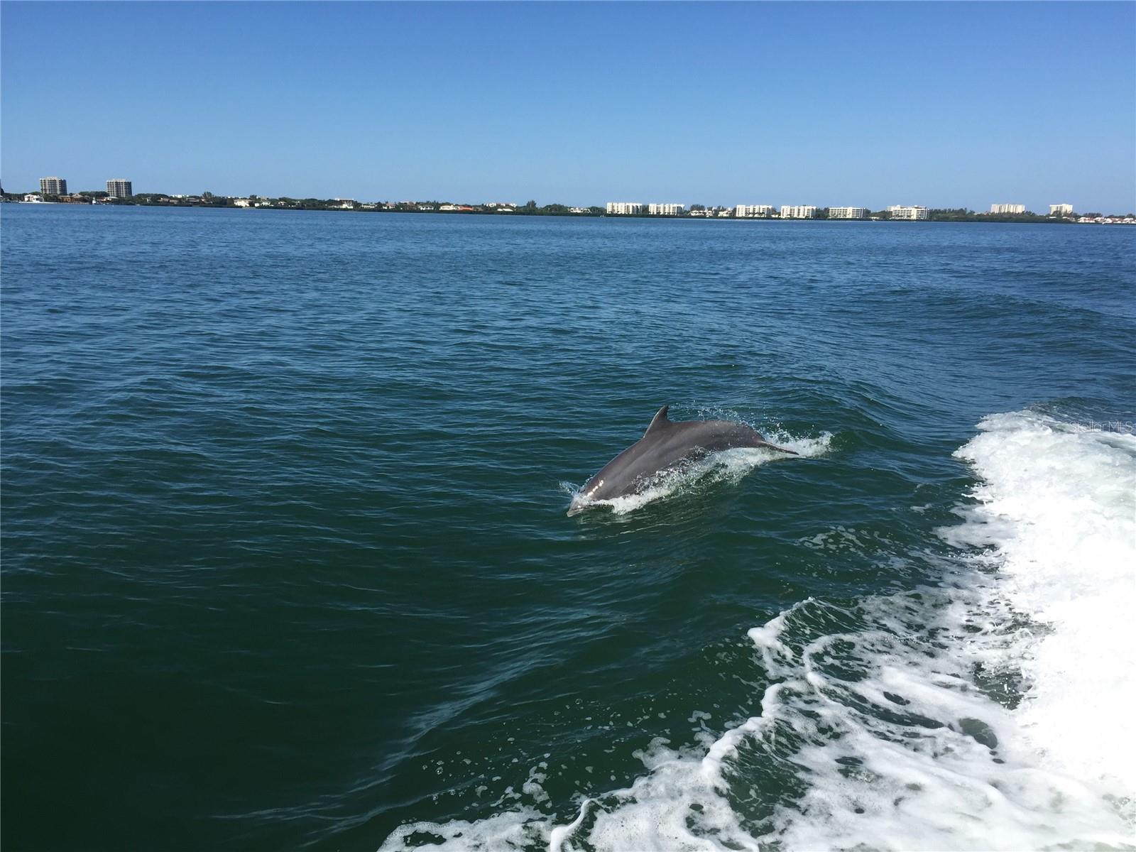 2600 HARBOURSIDE DR #C13, LONGBOAT KEY, FL, 34228